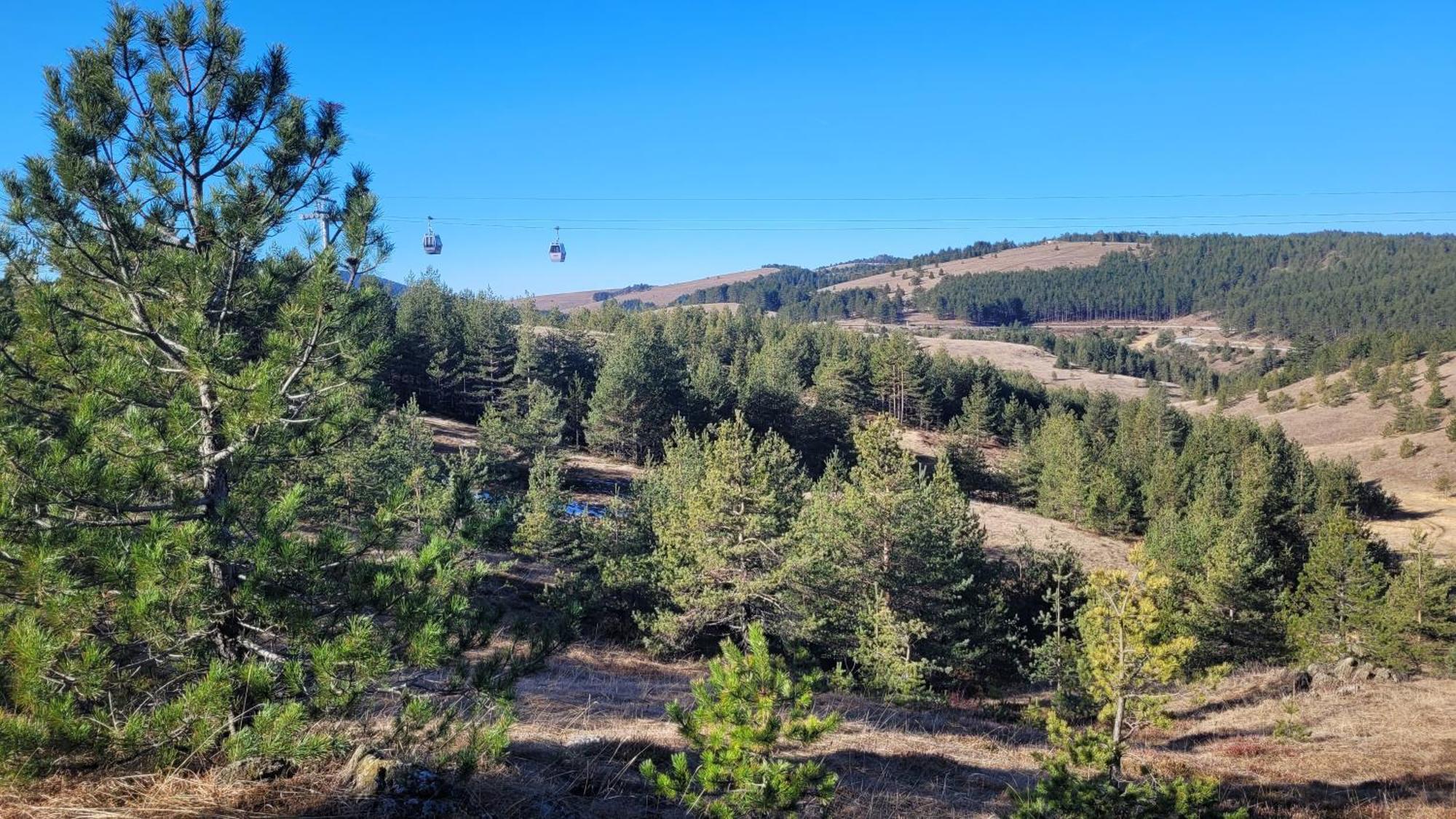 Zlatibor Apartmani Dm Tornik ภายนอก รูปภาพ