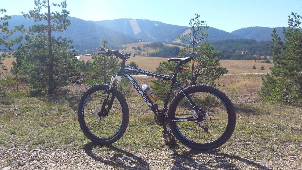 Zlatibor Apartmani Dm Tornik ภายนอก รูปภาพ